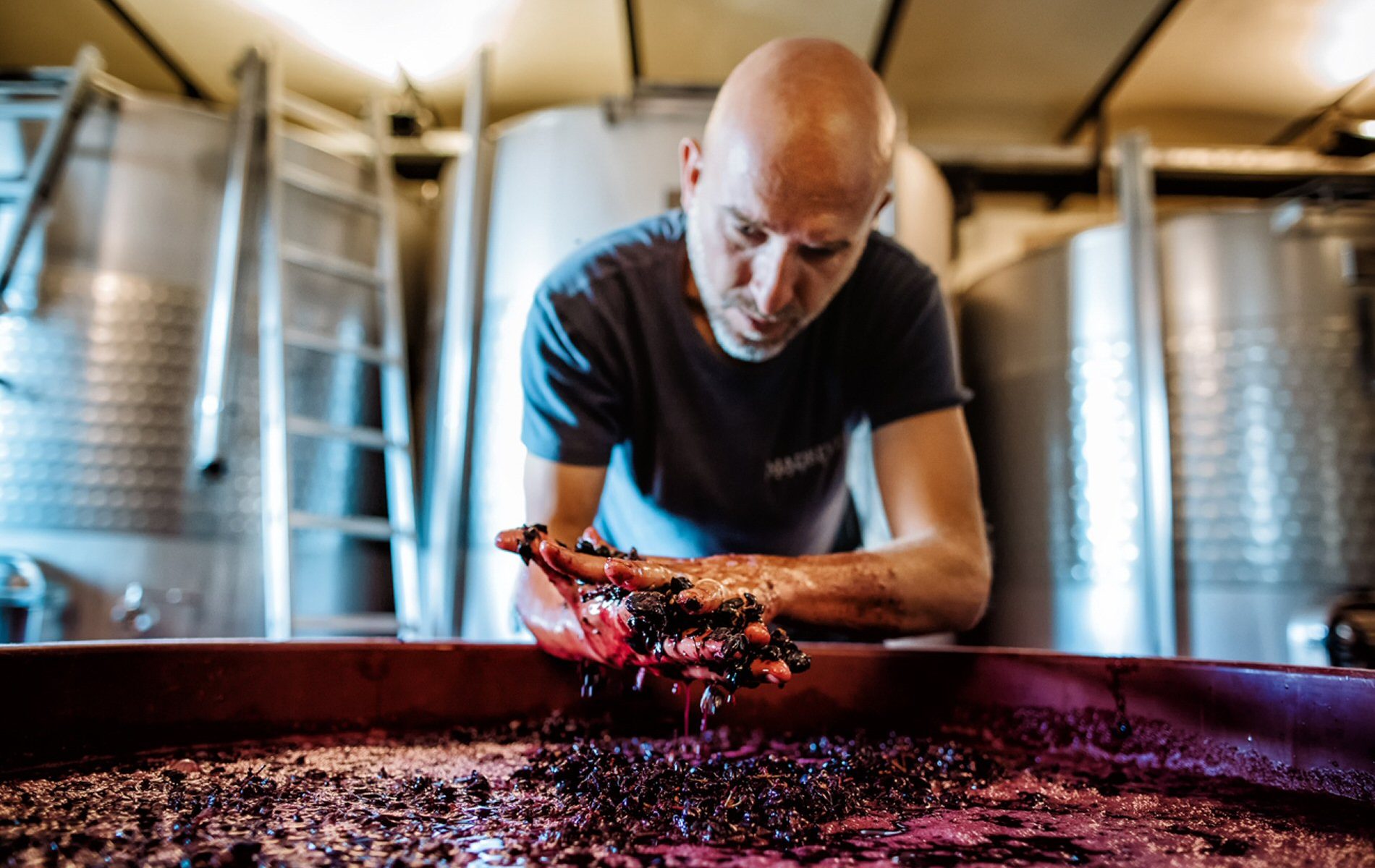Gamay del Trasimeno Home slider Gamay del Trasimeno Home slider