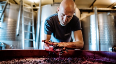 Madrevite publishes the first blog Devoted to Gamay del Trasimeno
