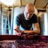 “Tiny Tales of Umbria – A Madrevite Storybook”