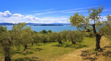 Lago Trasimeno, lì dove tra Storia e Natura trovano casa vino, olio e zafferano